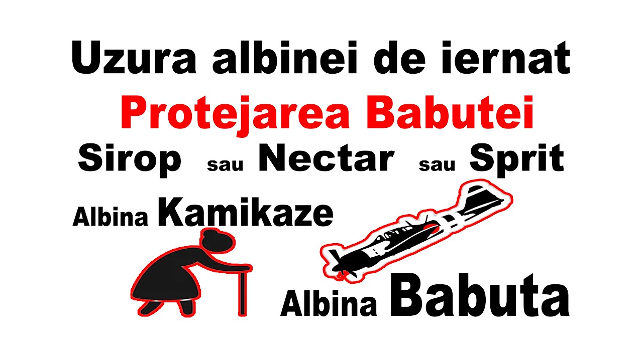 0009 Uzura Albinei de Iernat - Protejarea Babutei