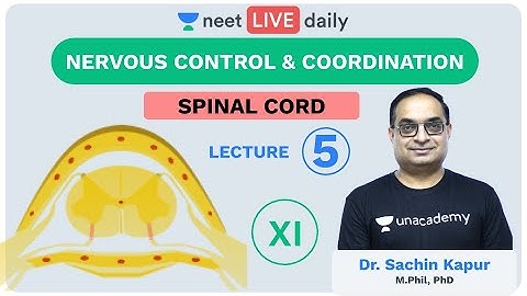 Neural Control & Coordination L5 | Spinal Cord | Unacademy NEET | LIVE DAILY | Biology | Sachin Sir
