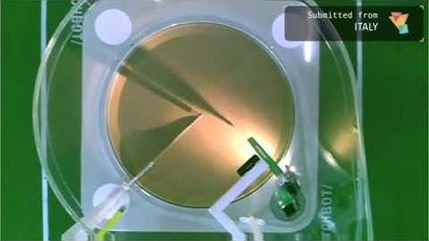 Chrome Web Lab:  My Sketchbot Portrait