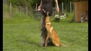 Fussposition Mit Cad 2010-05-29