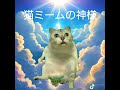 猫ミーム神様のおシュールなお告げ「壱の神様（様子がおかしい神様）」#short #shorts #猫ミーム #funny #lgbt
