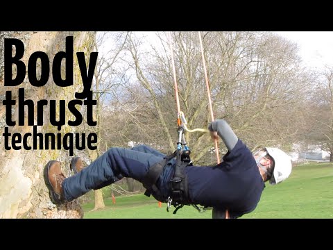 Basic tree climbing techniques: How to do the body thrust ascent