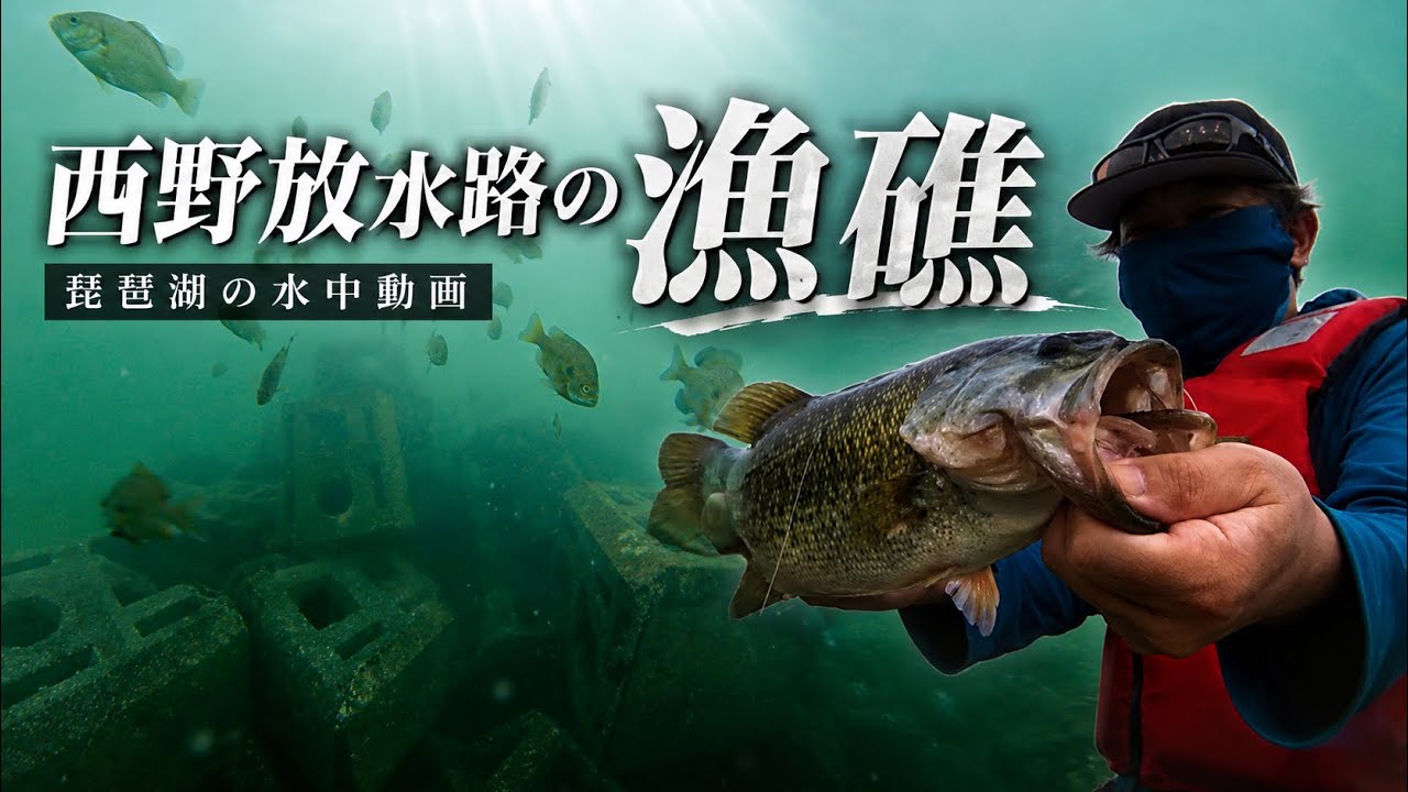 【琵琶湖の水中動画】西野放水路の沖の漁礁 #琵琶湖バス釣り