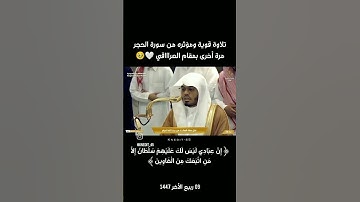صلاة العشاء الشيخ ياسر الدوسري من خواتيم سورة الواقعه #القرآن_الكريم #الشيخ_ياسر_الدوسري #السعودية