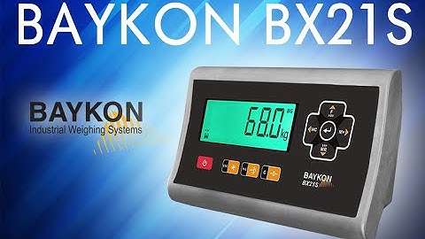 Affordable Negative Weighing with the Baykon BX21s