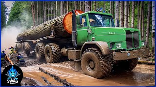 55 EXTREME Dangerous Biggest Wood Logging Truck Operator Skill Working At Another Level