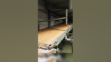 Thumbnail of Parle G - Biscuits Batch Process 🤤