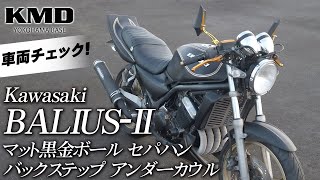【納車前に車両チェック！】Kawasaki BALIUS-Ⅱ（バリオス2）セパハン・バックステップ・アンダーカウルカスタム仕様車！ / カスタムネイキッド専門店 KMD YOKOHAMA BASE