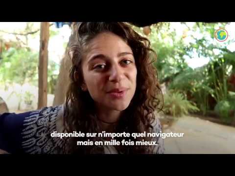 Avez-vous essayé le moteur de recherche qui plante des arbres? - Avez-vous essayé le moteur de recherche qui plante des arbres?