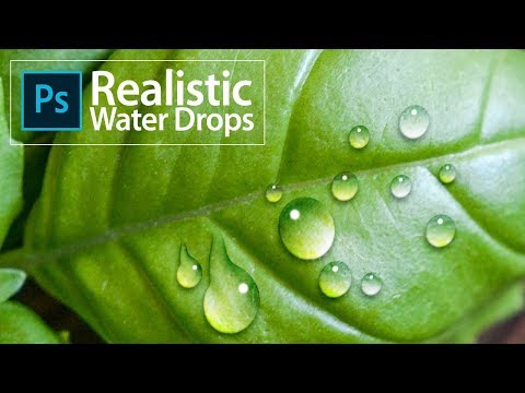 How to Make Water Drop Effect on Leaf in Photoshop | Photoshop Water Drop Effect | Photoshop Effect
