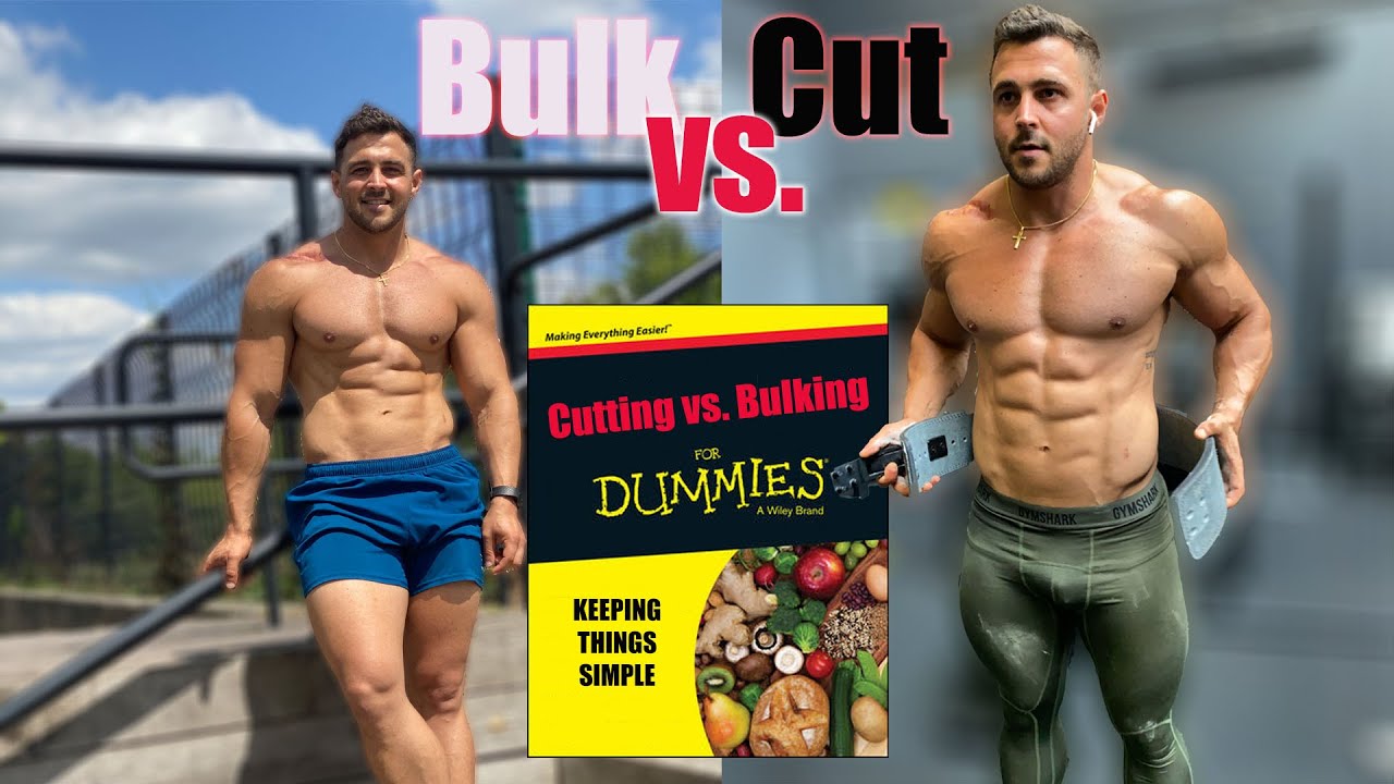 Bulking vs. Cutting: How to Do Each Successfully • Dioxyme