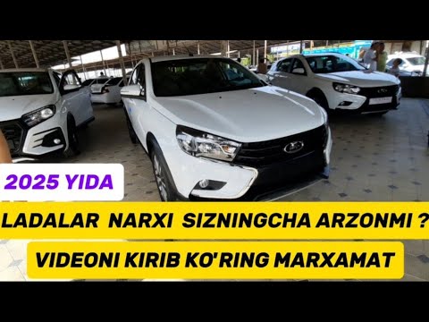 2025 YIL 25