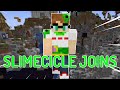 Slimecicle JOINS THE DREAM SMP