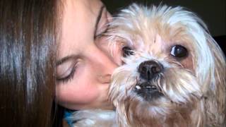 Intuitive Animal Connections Book Launch