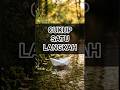 Cukup Satu Langkah