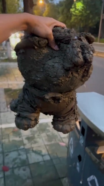 Cleaning Dirty Teddy Bear With Toothbrush Glare washing bear Restoration of torn bear Broken ASMR🤯😭🧼