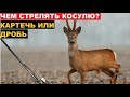 ✔️ЧЕМ СТРЕЛЯТЬ КОСУЛЮ? МОЙ ВАРИАНТ ПАТРОНОВ!