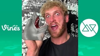 Funny SHARK PUPPET Instagram Videos 2019