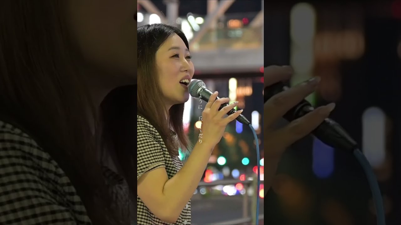亜麻色の髪の乙女/ヴィレッジ・シンガーズ Covered by