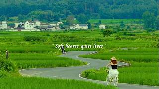 Quiet souls feel lighter...(a gentle playlist for quiet days) screenshot 5