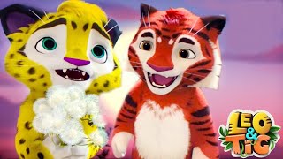 Leo and Tig 🦁 Series in a row 🐯 Funny Family Good Animated Cartoon for Kids