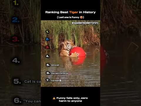 Ranking Best Tiger In History