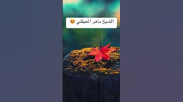 تلاوة رائعة للقرآن بصوت الشيخ #ماهر_المعيقلي 💙💙