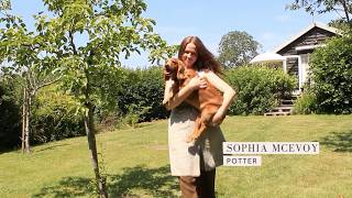 Potter: Sophia McEvoy's Suffolk Countryside Studio Tour | Shed Light Ep. 3