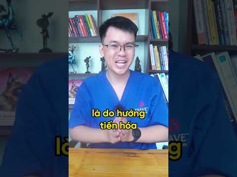 Video Động vật LỀ MỀ nhất hành tinh | Bác Sĩ Trung - youtube