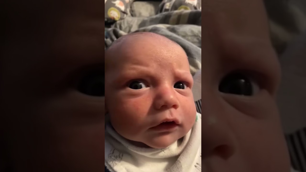 Which scream is real?🤔 