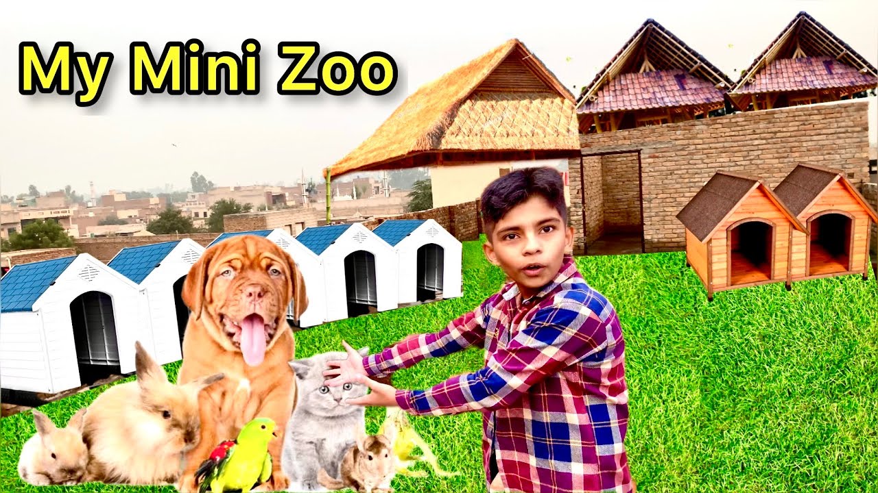 My Mini Zoo Model YouTube