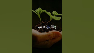 اجمل تلاوة مع القارئ احمد النفيس(إنما نطعمكم لوج الله لا نريد منكم جزاء ولا شكورا )