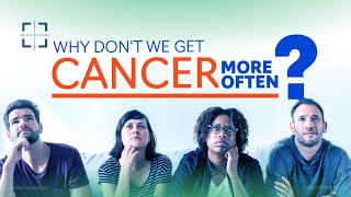 Why don't we get cancer more often?