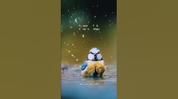 وَلَو أَنَّما فِي الأَرضِ من شَجَرَةٍ أَقلامٌ وَالبَحرُ يَمُدُّهُ من بَعدِهِ : #سورة_لقمان ٢٧