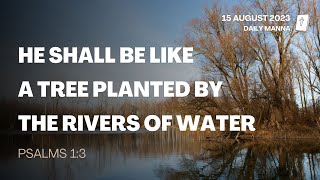 Psalms 1:3 | He Shall Be Like A Tree Planted By The Rivers Of Water | Daily Manna