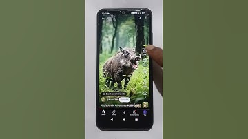 Survival Skills (24) SIMPLE and USEFUL HacksforCamping#magic#magictric #shots