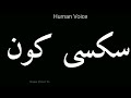 How To Pronounce سکسی کون Pronunciation سکسی کون How To Say سکسی کون 