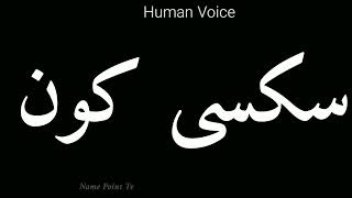How To Pronounce Pronunciation How To Say