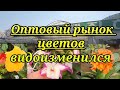 Оптовый рынок цветов который очень изменился.1 часть.