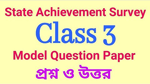 SAS Practice Paper Class 3 / State Achievement Survey Class 3 WB