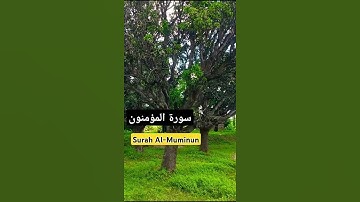 سورة المؤمنون #ترجمة القرآن الكريم إلى اللغة الأردية#شورتات#يوتيوب#أكثر انتشارًا