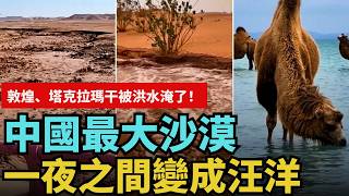 Dunhuang and Taklamakan Flooded! China's Largest Desert Turns Into an Ocean Overnight