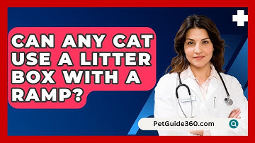 Can Any Cat Use A Litter Box With A Ramp? - PetGuide360.com