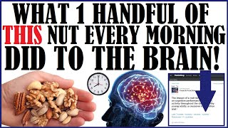 What Eating 1 Handful Of This Nut Every Morning Did To The Brain