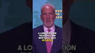 Bank Bailouts Will Devalue The Dollar - Peter Schiff Part 1 #shorts #goldinvestments #gold
