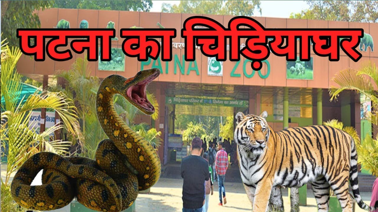 Patna Zoo ! पटना चिड़ियाघर 2025 🚀 Sanjay Gandhi Biological Park !