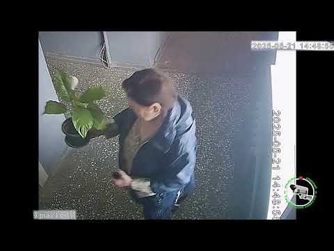 Тихо cπ3дил и ушёл, называеться нашёл?