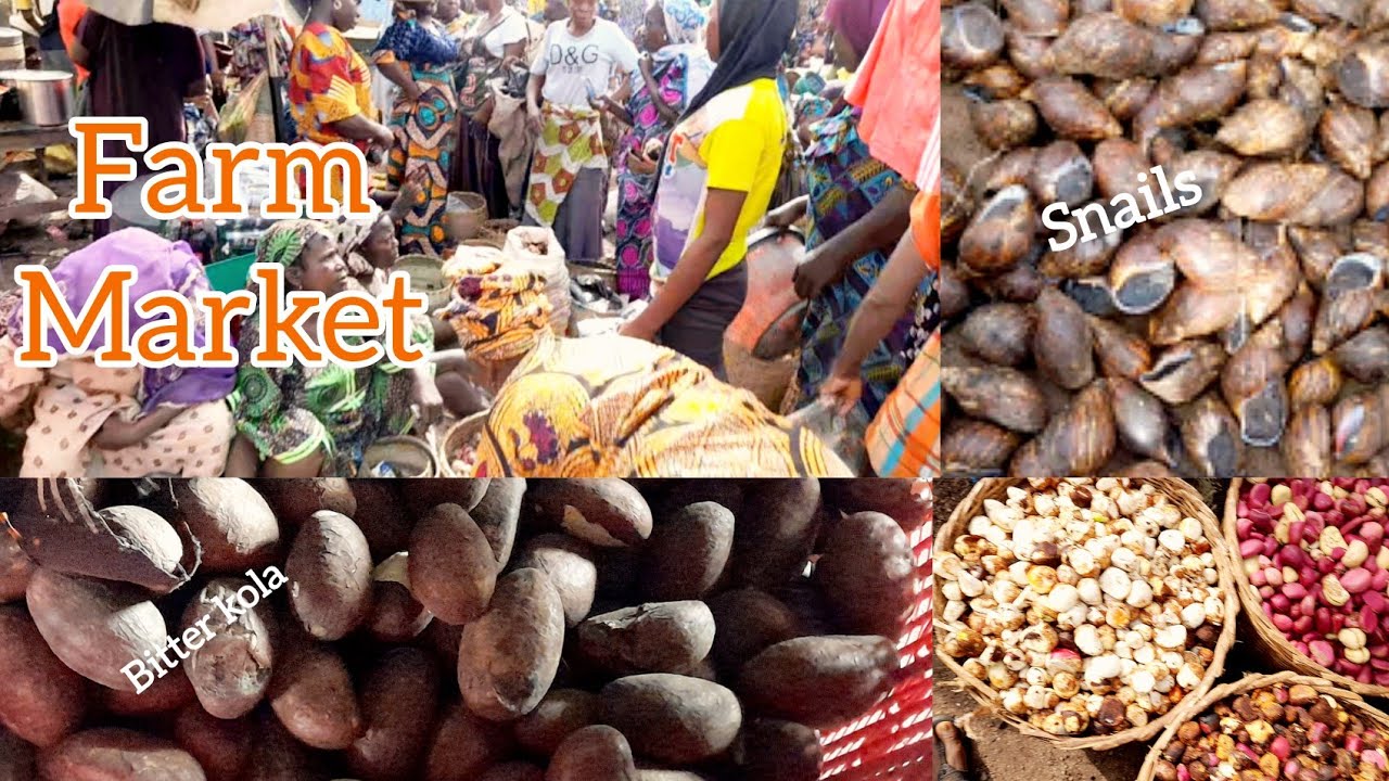 Farm Market Products in Apomu Market Osun State #business #marketvlog ...