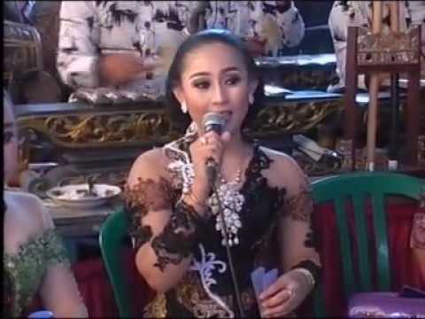 TAYUB GELANG KALUNG dian