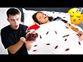 COCKROACH PRANK ON WIFE!! *PUT ONE IN HER MOUTH*